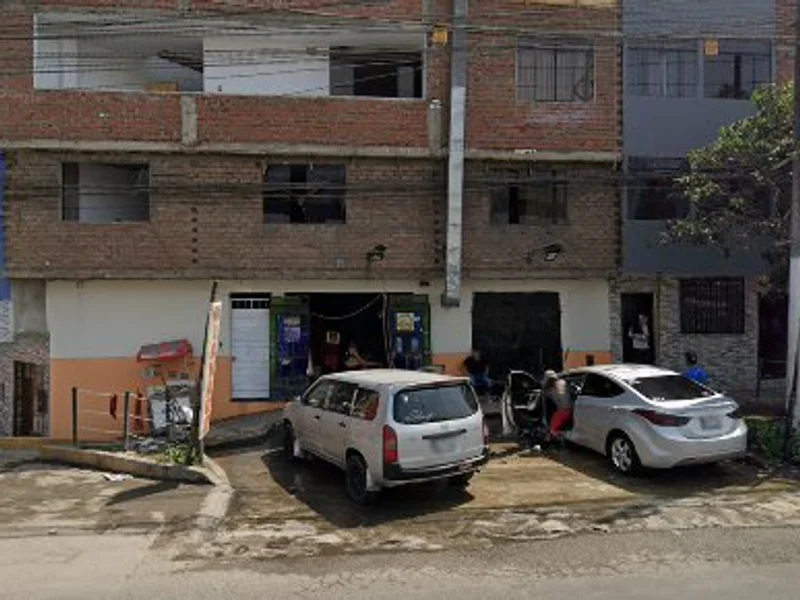 Lavado de carros 10