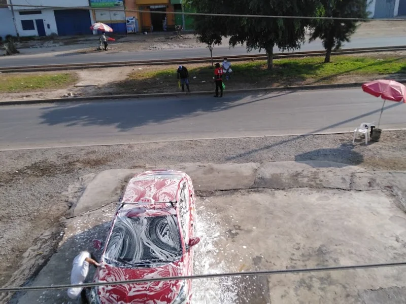 Lavado de autos MIGUELON