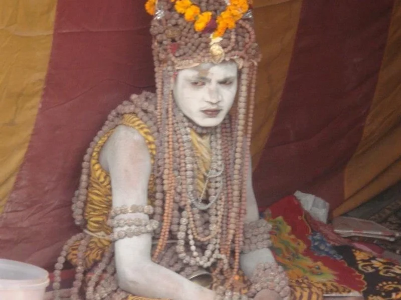 SIDDHI YOGA | Profesorado de Yoga en Perú