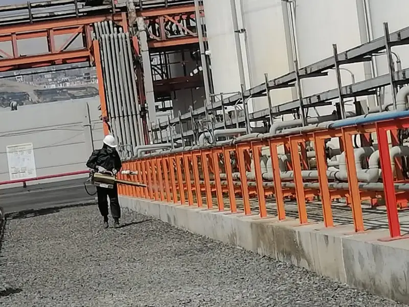 Fumigaciones en Trujillo - Exclusiva S.A.C- Control de plagas, Certificado de fumigación.