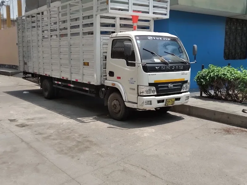 SERVICIO DE MUDANZA 991259364