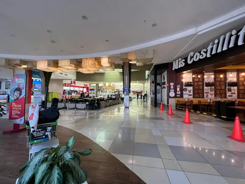 Mallplaza Bellavista