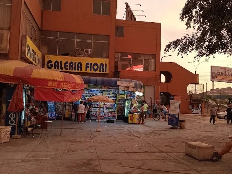 Centro Comercial Fiori