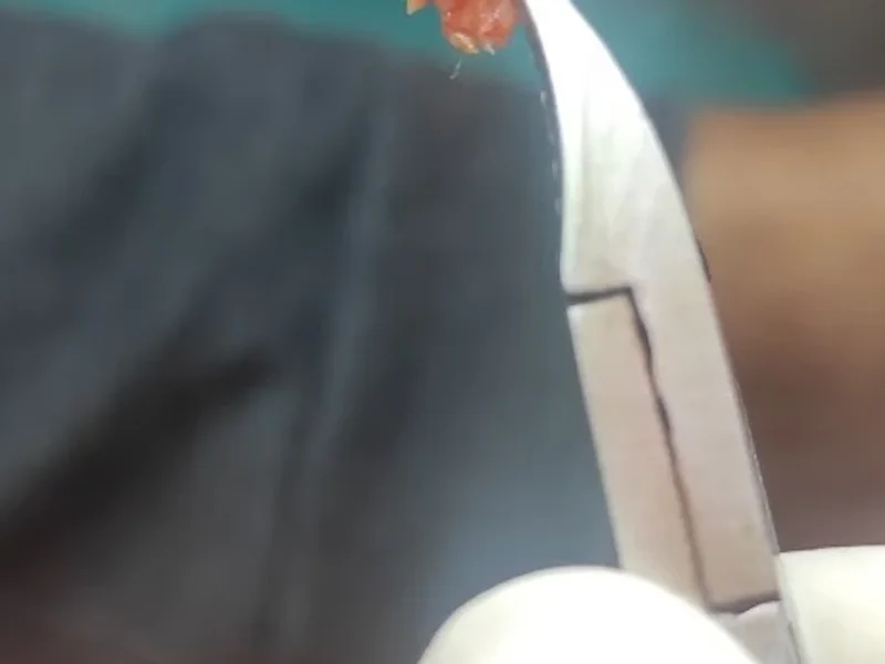 FootLoose | Podología Integral