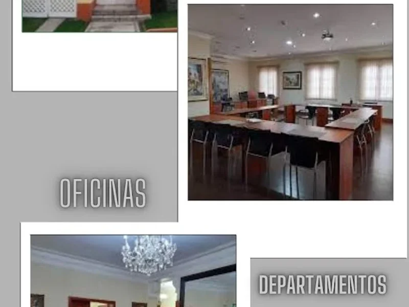 Grupo Pintores