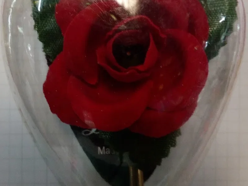 ARHA JUGUETERIA & PIÑATERIA