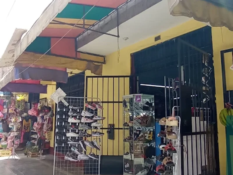 Zapatería Renovadora El Zorro