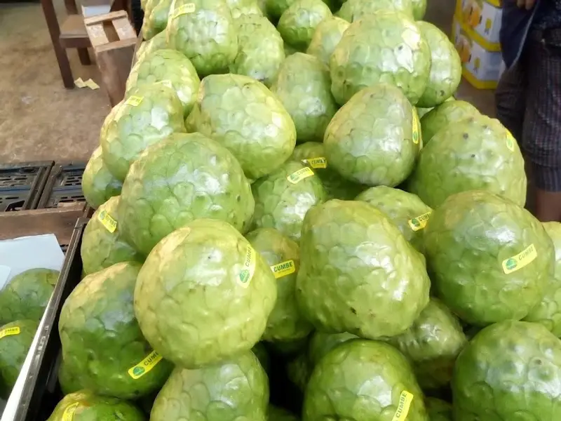 Mercado De Frutas