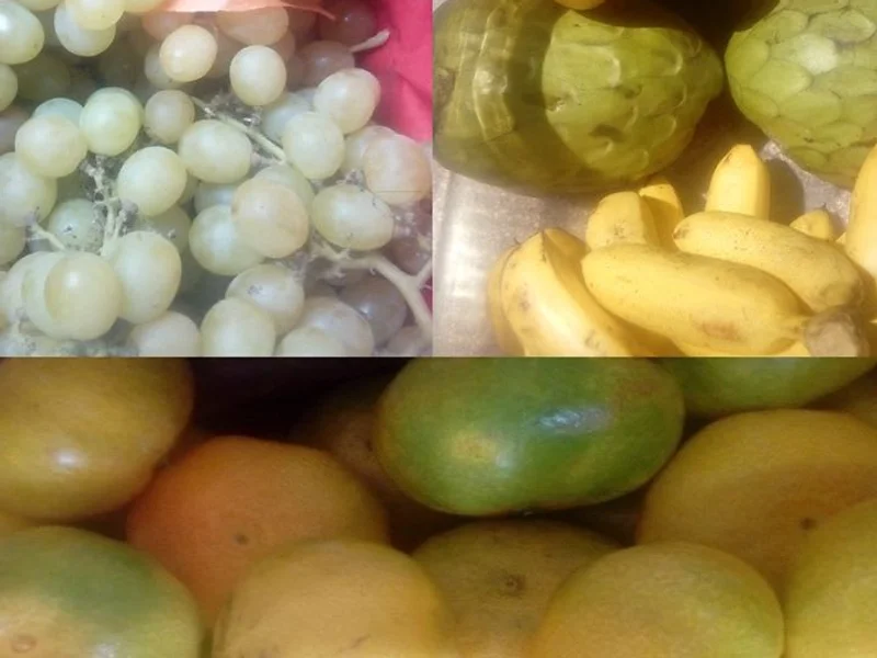 Allin Frutas