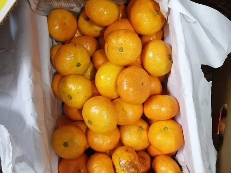 La Fruta Miel