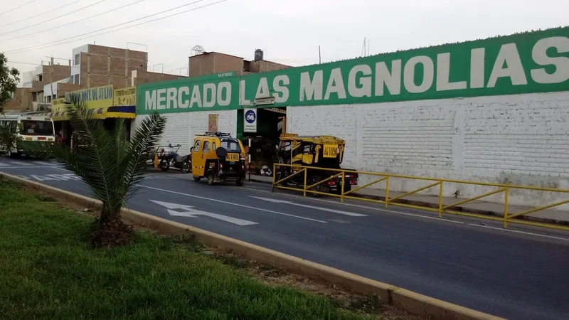 Mercado Las Magnolias