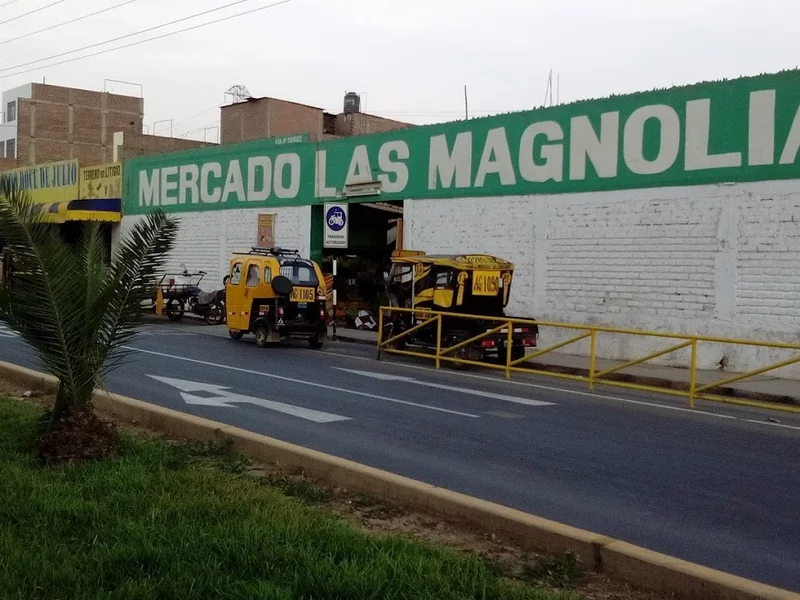 Mercado Las Magnolias