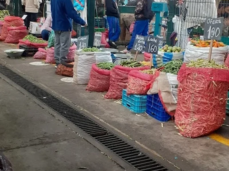 Gran Mercado Mayorista de Lima