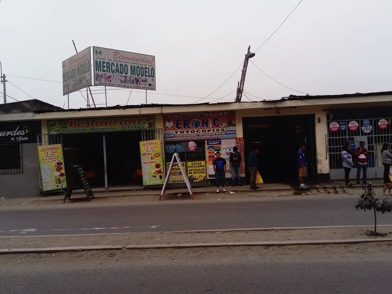 Cooperativa De Servicios Especiales Mercado Modelo