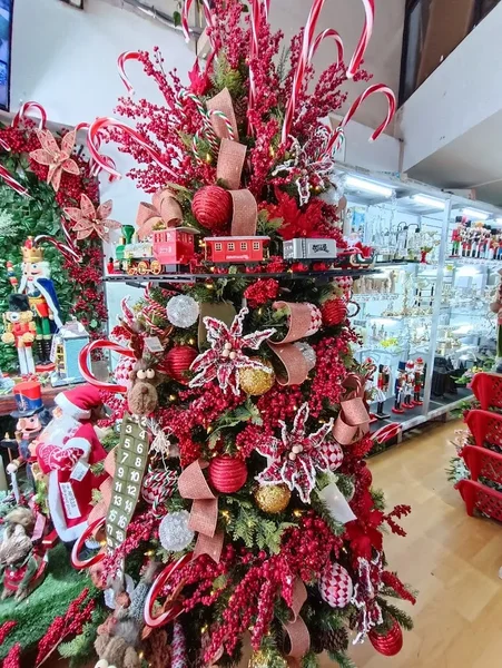 Floripa Decor
