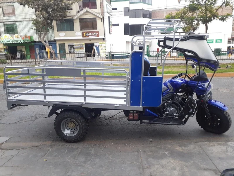 Motos Shengwey LFR77