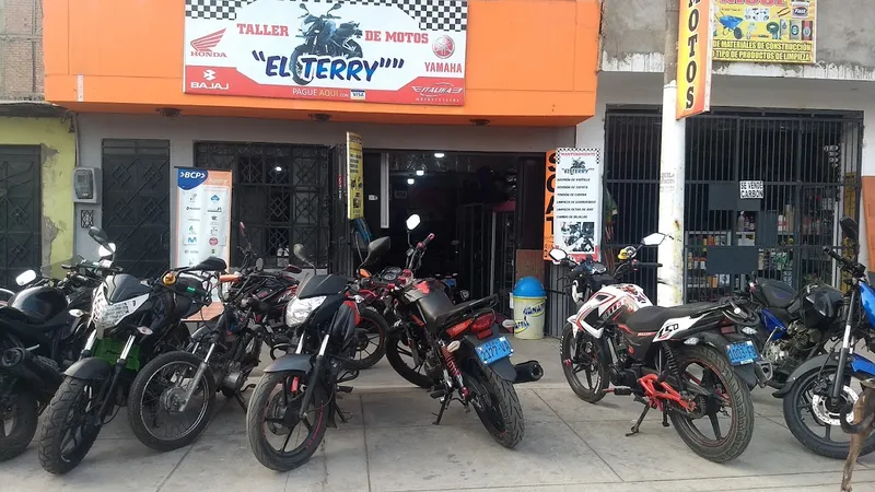 Terrymotors Multimarca