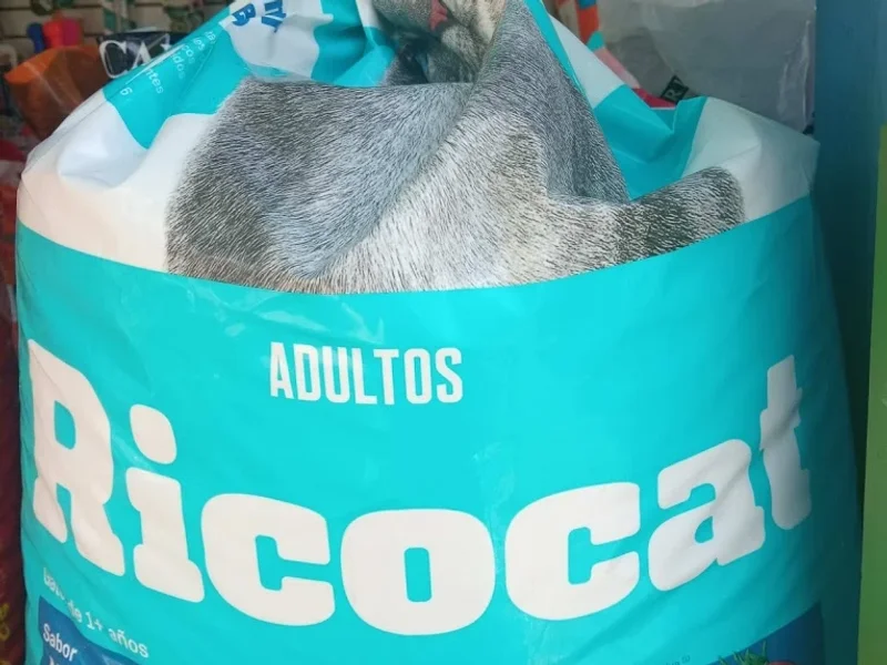 La casita de Camila pet shop