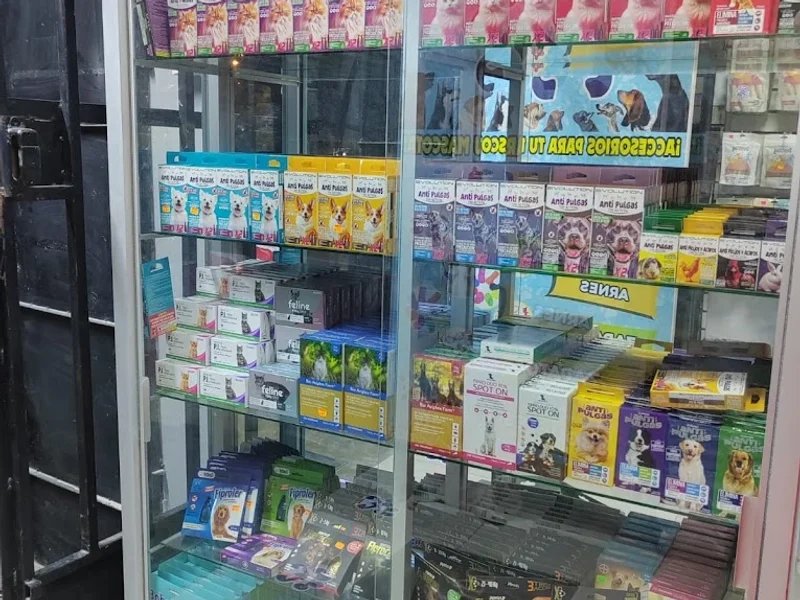 Cuatro patas Pet shop-Estetica canina