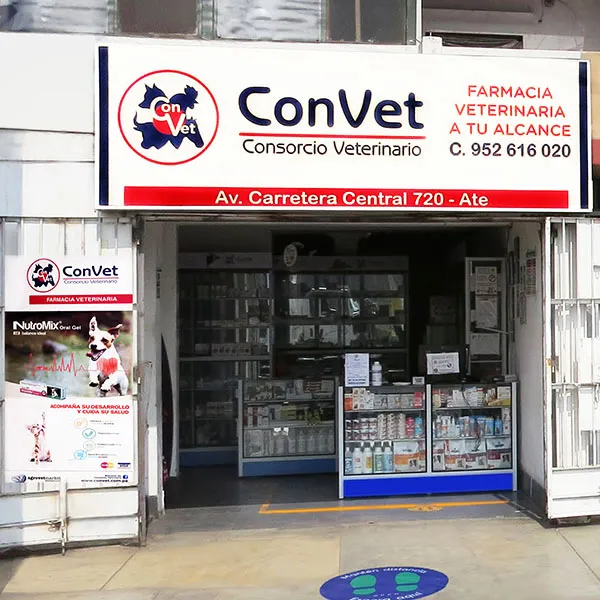 ConVet - Carretera Central