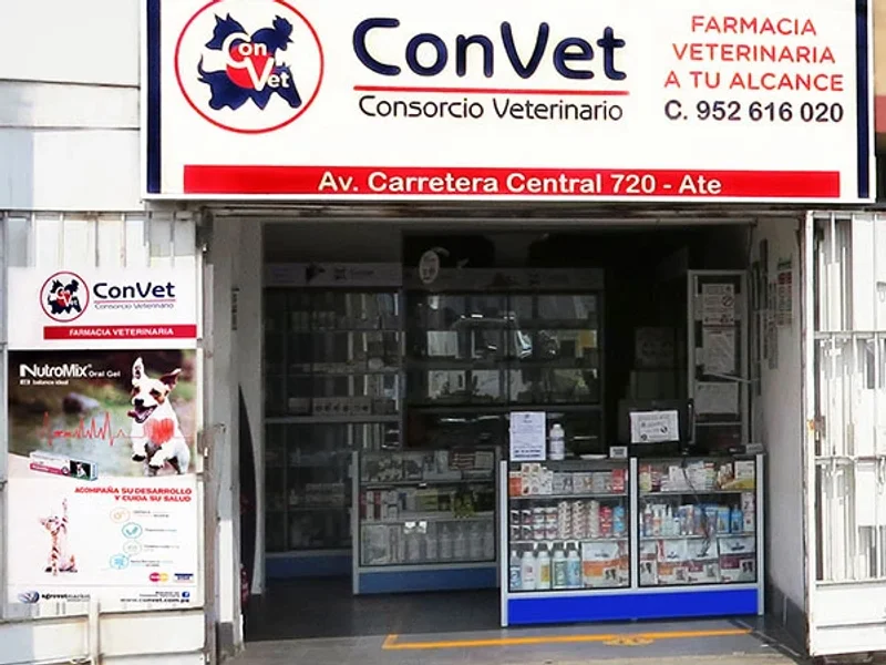ConVet - Carretera Central