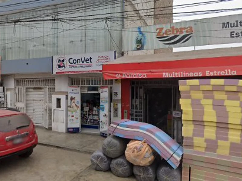 Convet - Villa El Salvador