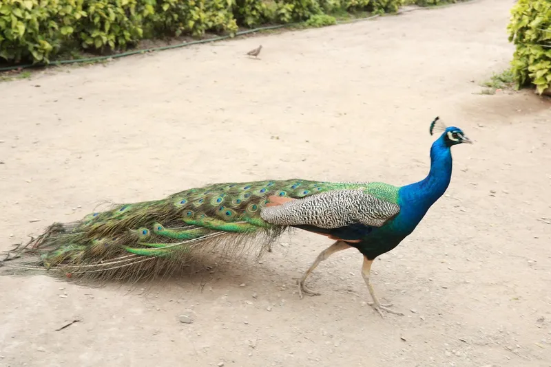 Jardín Botánico de Trujillo