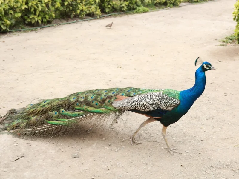 Jardín Botánico de Trujillo