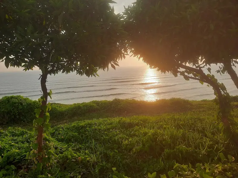 Parque María Reiche