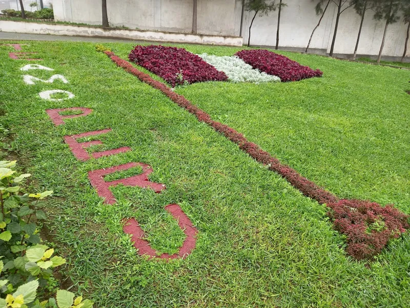 Parque flor de amancaes