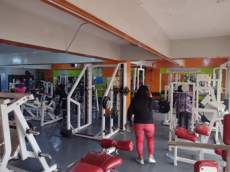 Sport Gym