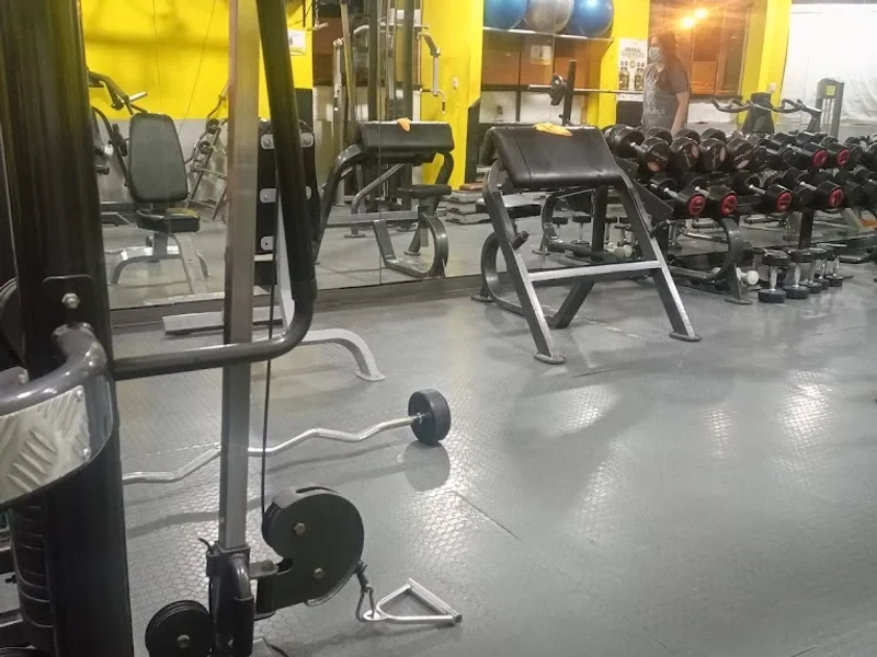GYM PALESTRA