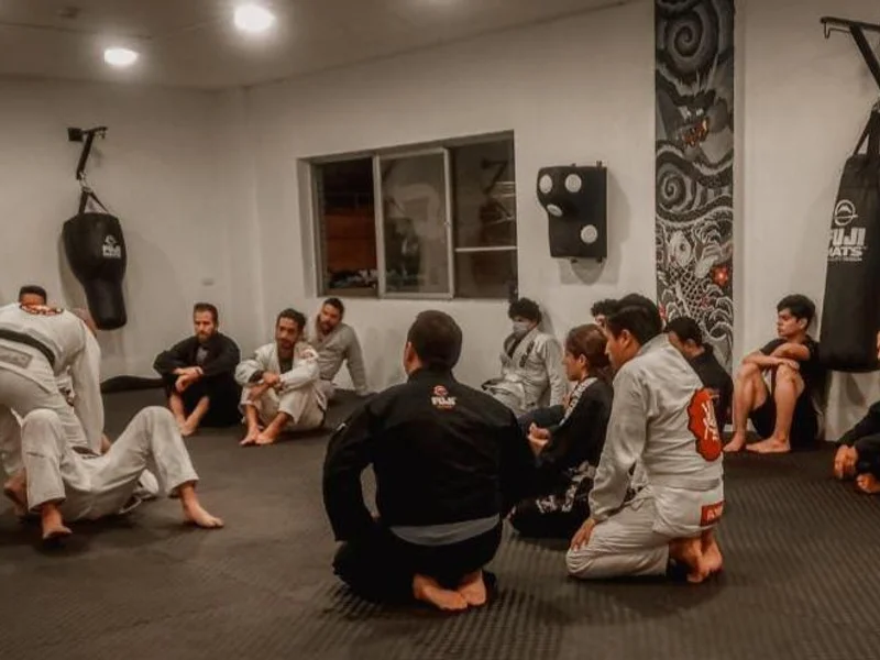 Ronin Martial Arts - Jiu jitsu & MMA