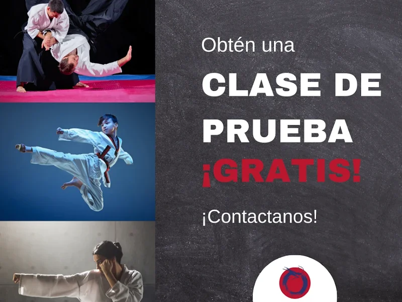 Martial Academy San Borja