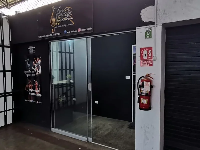 Wlade Academia Artistica