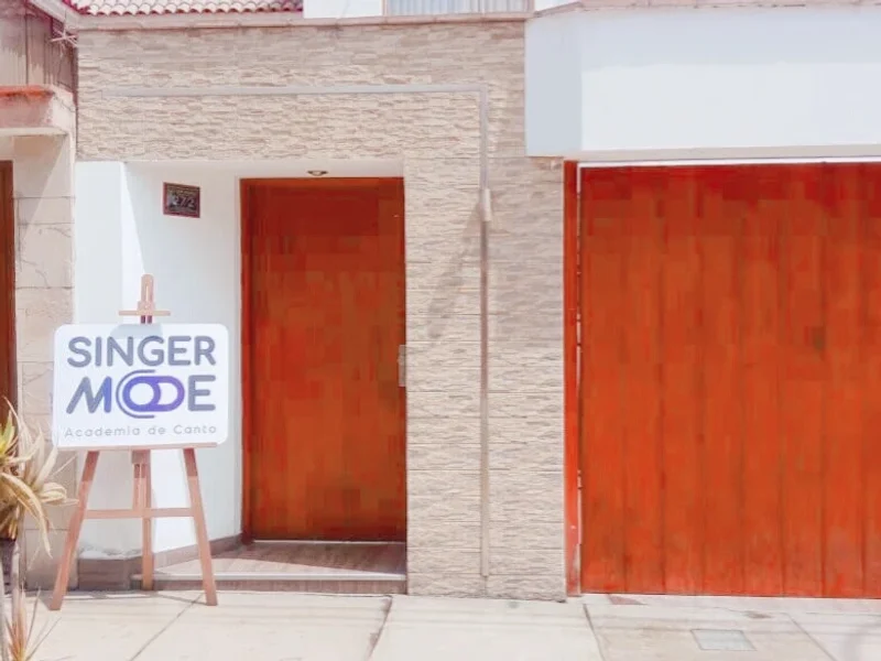 Singer Mode - Academia de Canto