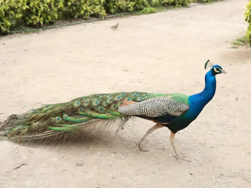 Jardín Botánico de Trujillo