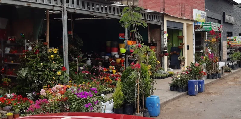 Vivero Las Begonias - Trujillo