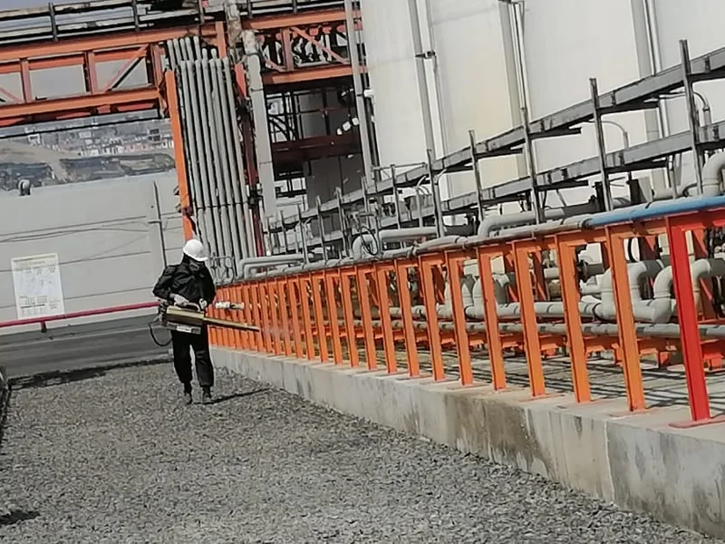 Fumigaciones en Trujillo - Exclusiva S.A.C- Control de plagas, Certificado de fumigación.