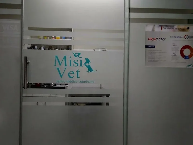 Centro Médico Veterinario MISIVET
