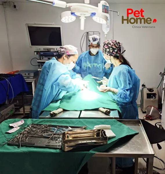 Clínica Veterinaria Pet Home Surco - Emergencias 24 horas