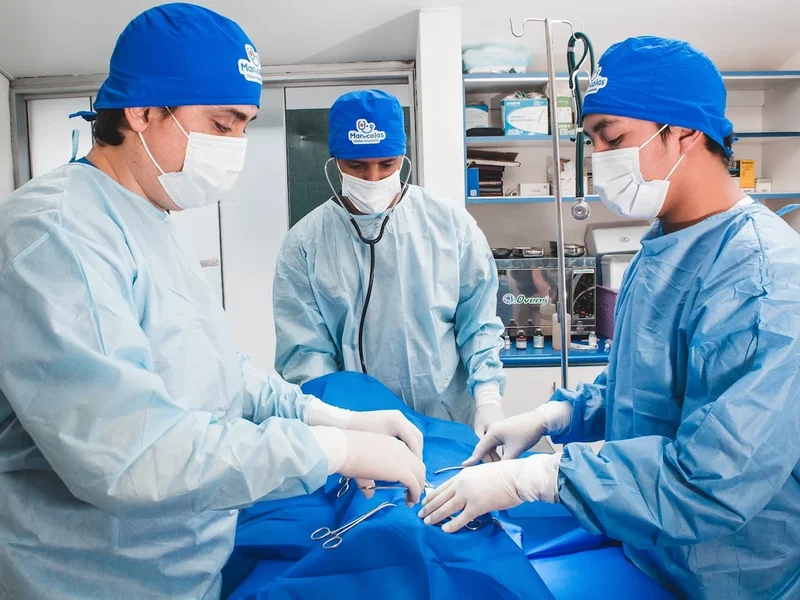 Clínica Veterinaria Mar de Colas