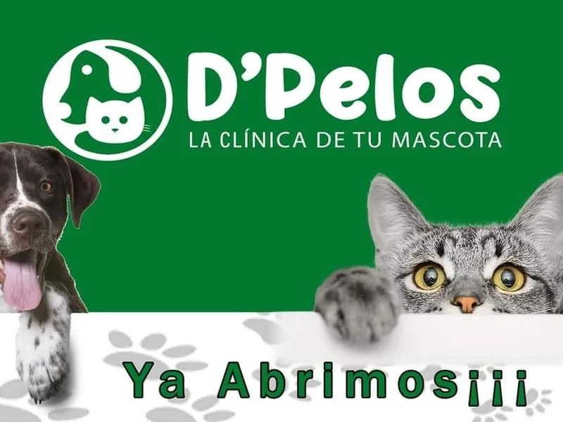 Clínica Veterinaria D'Pelos