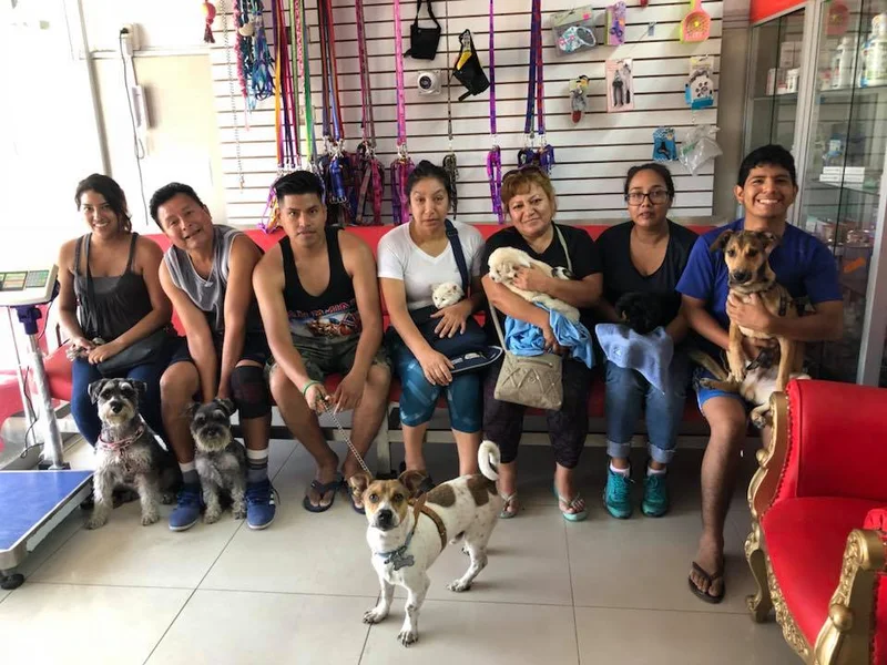 Hospital Veterinario 24 horas Animal love