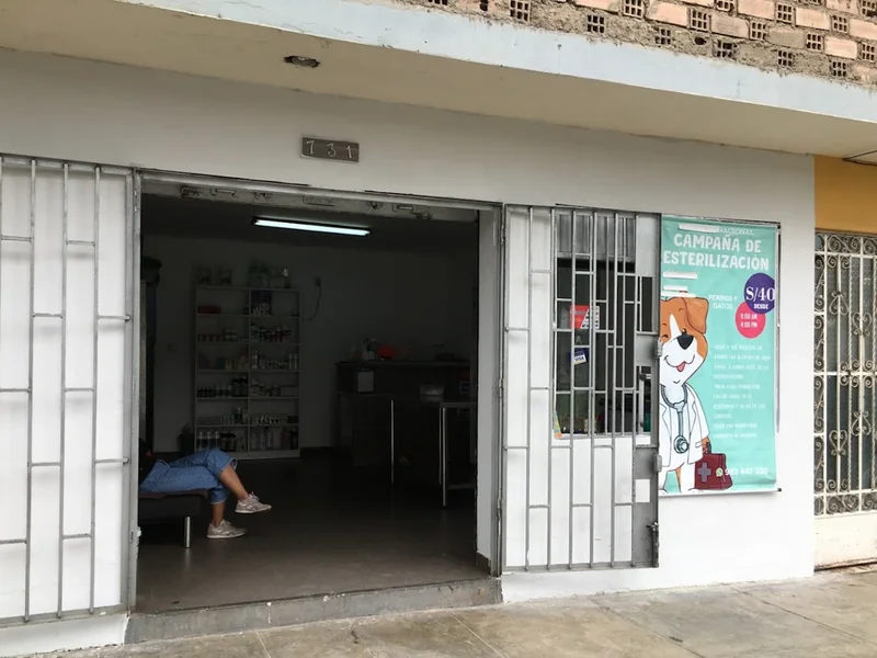 Clinica Veterinaria - Emergencias 24 horas