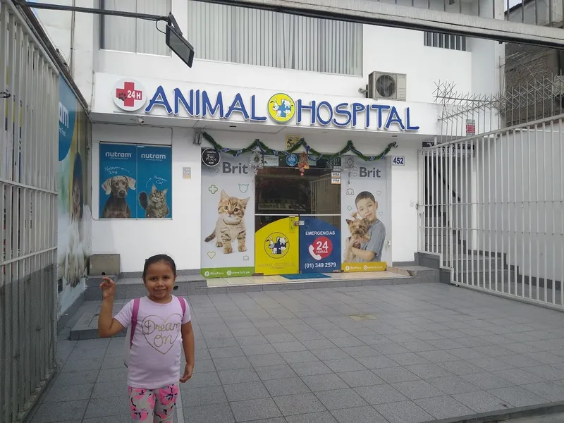 Animal Hospital