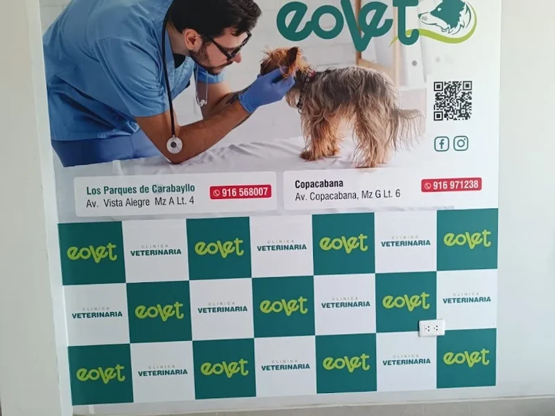 Clínica Veterinaria Eovet - Copacabana
