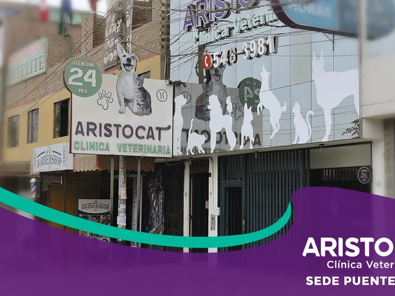 Clínica Veterinaria Aristocat