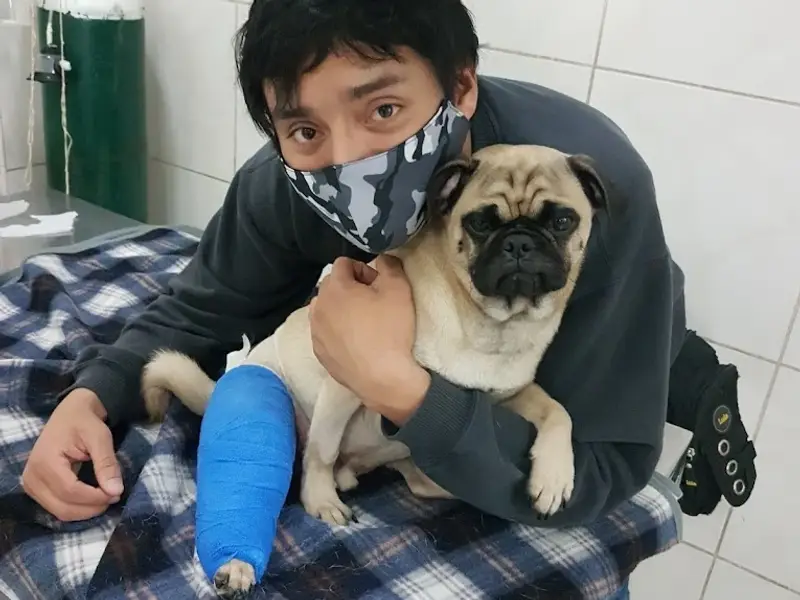 Clínica Veterinaria Surco