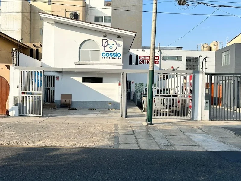 Veterinaria Cossio